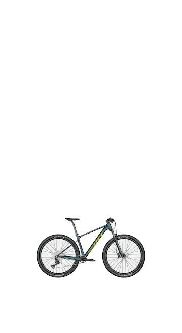 Bicicleta de Montaña