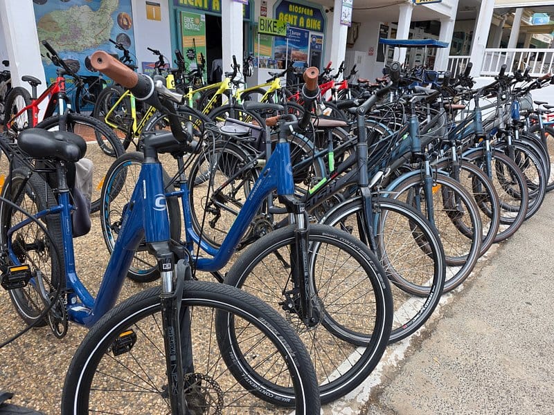 Biosfera Rental Bike - Equipo